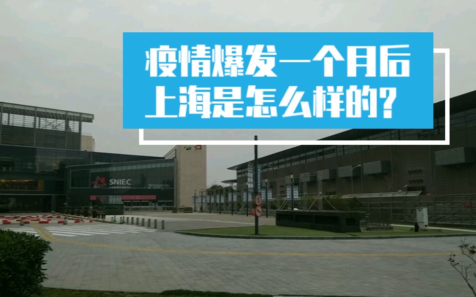 上海疫情是否会反弹?官方回应-上海疫情会再次爆发吗-第2张图片