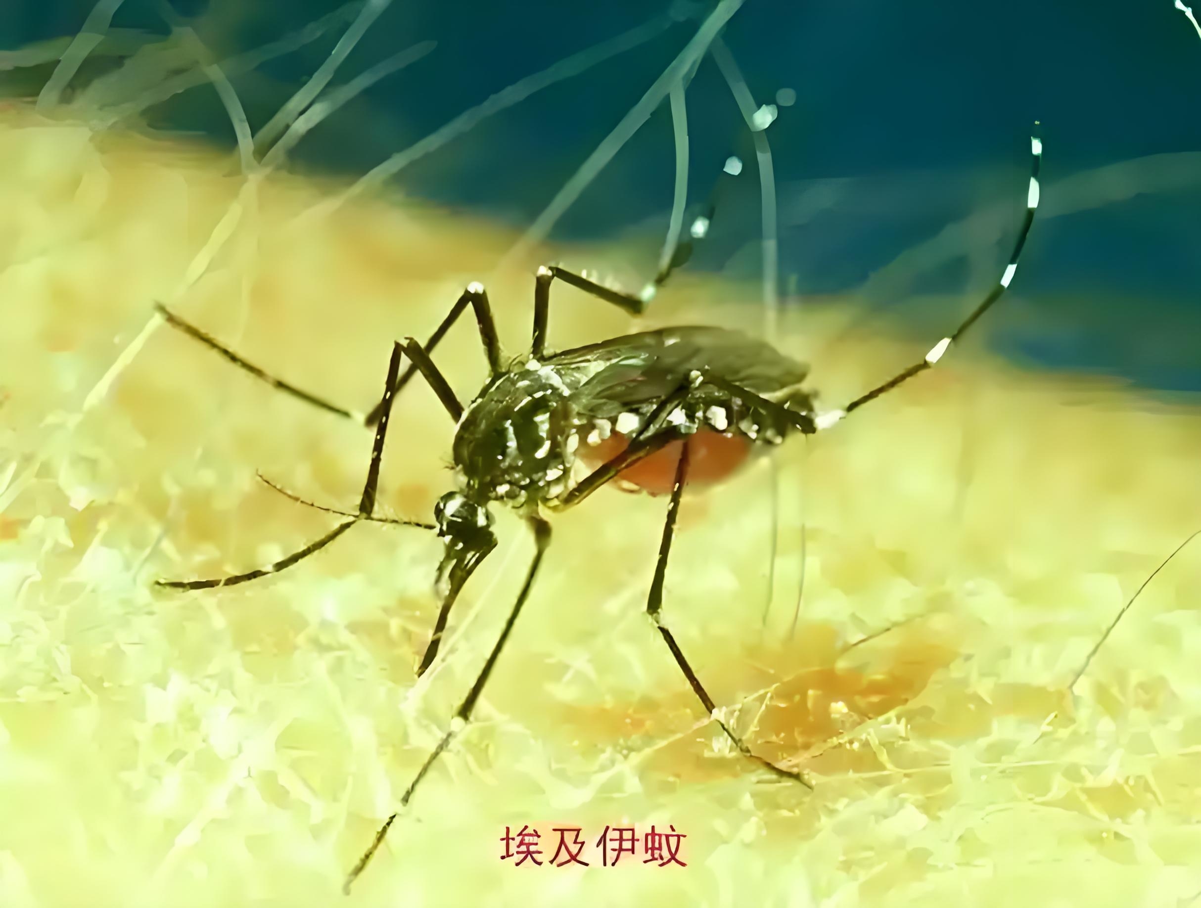 “31省增14例境外输入” 31省新增24例均为境外输入？-第2张图片