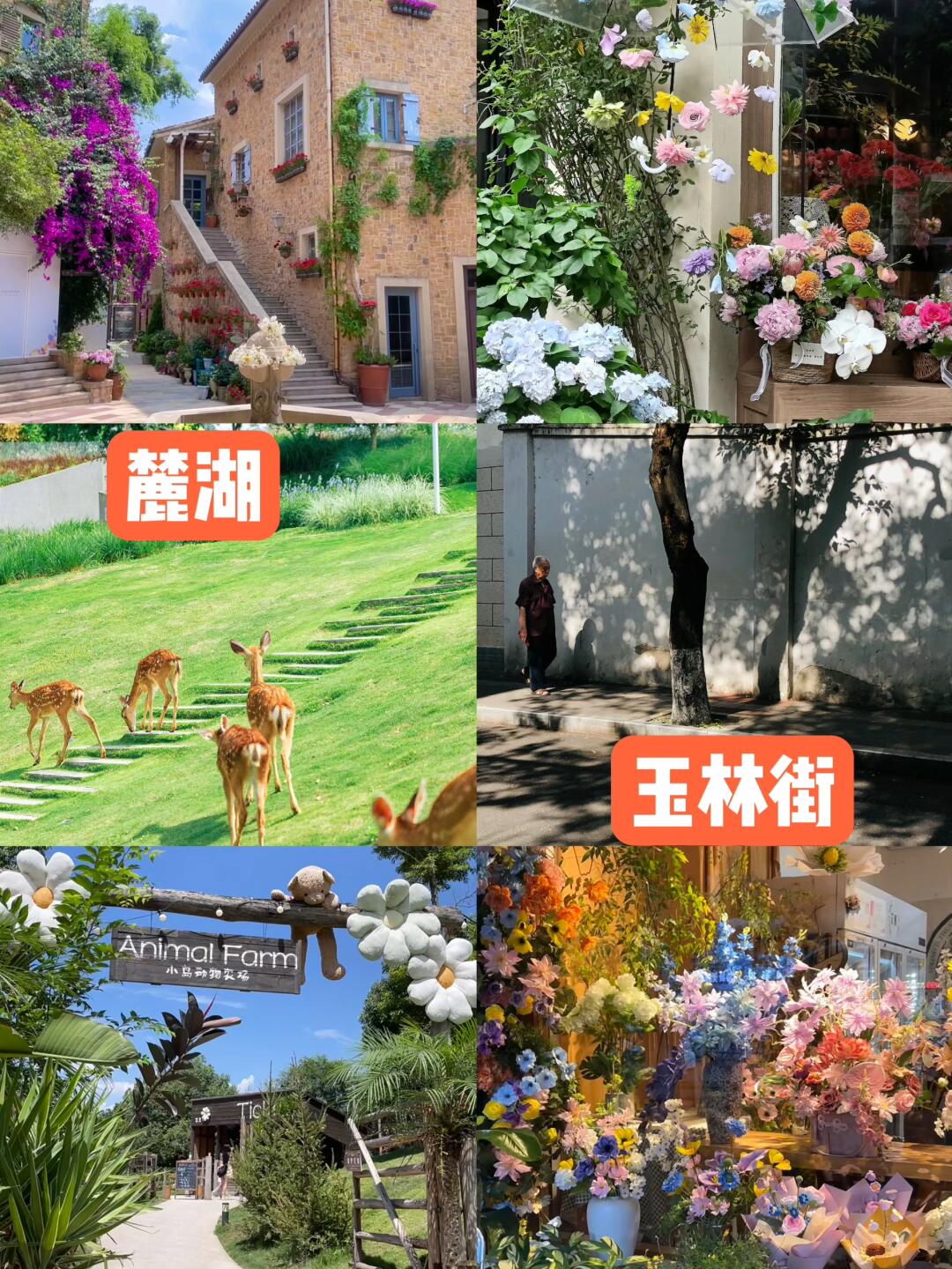 成都高风险地区︰(成都高风险区地图)-第2张图片