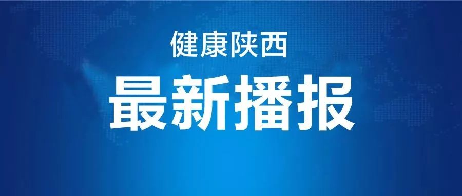 包含陕西新增2例在哪里的词条