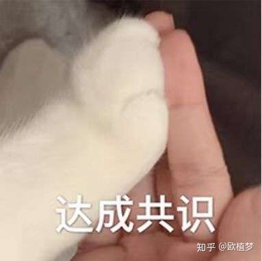 【31省新增本土61例/31省新增本土61例31】-第1张图片