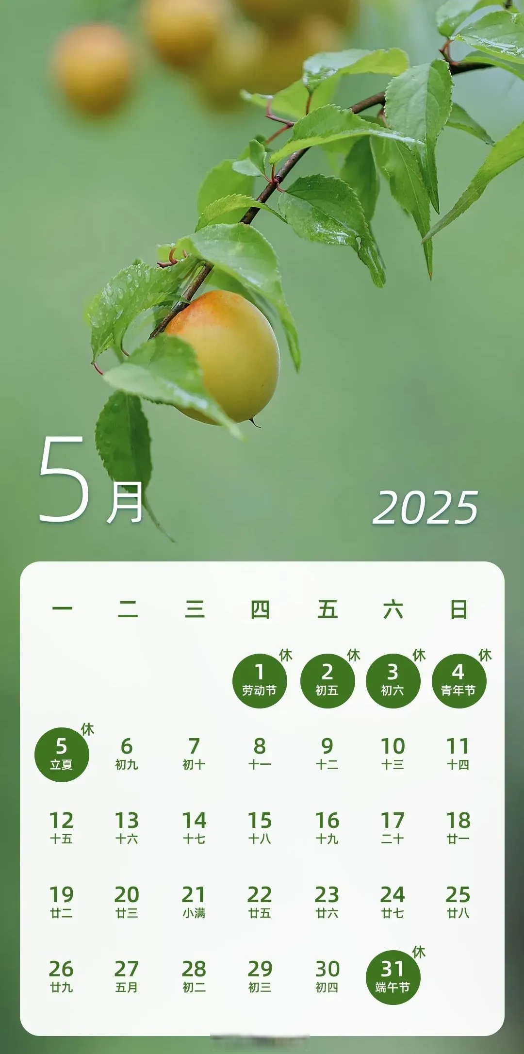 端午节高速公路免费吗?2023︰(2021年端午节高速路免不免费)