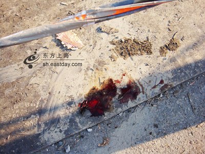 上海新增死亡16例,上海新增案例-第2张图片