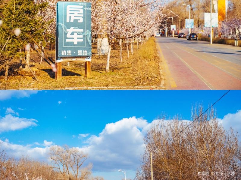 沈阳新增,沈阳新增一座交通桥 就在鸟岛南侧-第2张图片